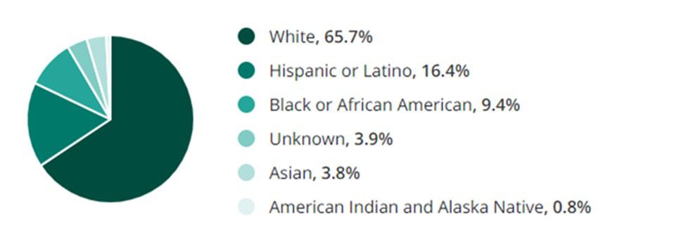 Administrative Jobs Race Demographic Chart