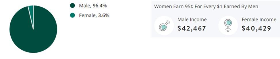 Automotive Jobs Gender Demographic Chart