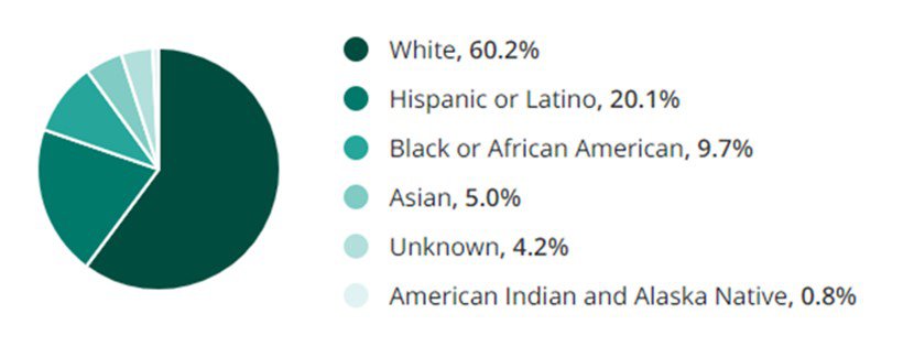 Automotive Jobs Race and Ethnicity Demographic Chart