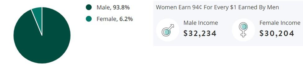 Construction Jobs Gender Demographic Chart