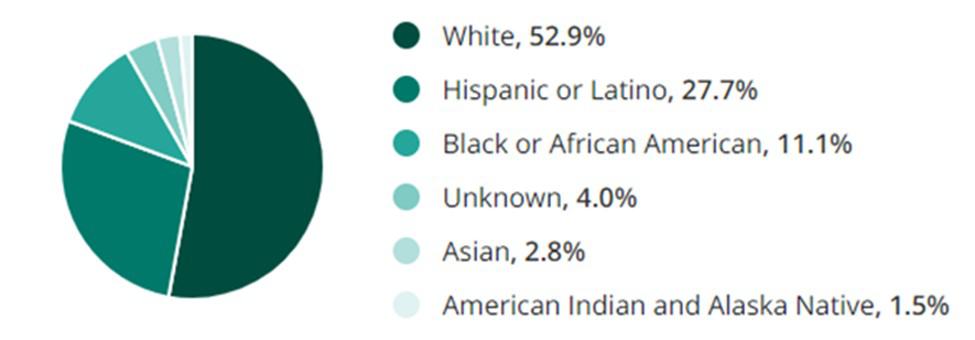 Construction Jobs Ethnicity and Race Demographic Chart