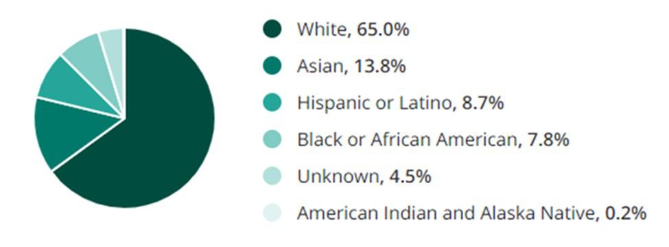 Consultant Jobs Ethnicity and Race Demographic Chart