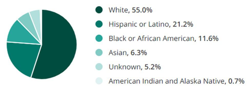 Customer Service Jobs Ethnicity and Race Demographic Chart