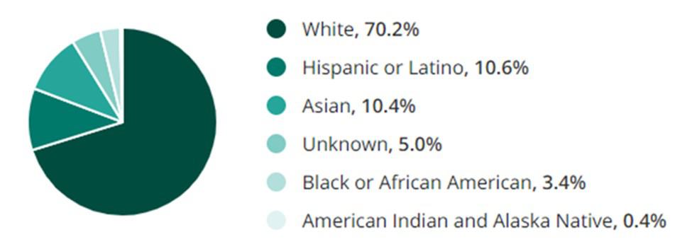 Design Jobs Ethnicity and Race Demographic Chart