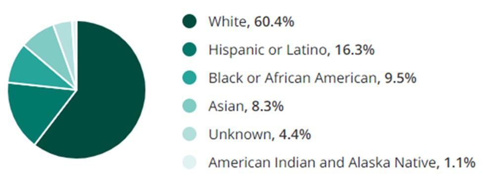 Education Jobs Ethnicity and Race Demographic Chart