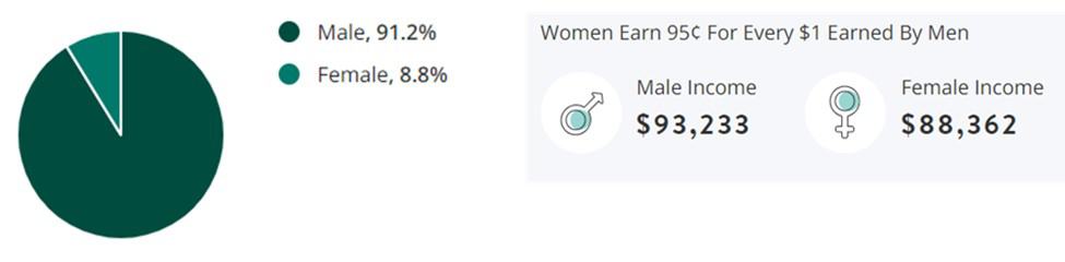 Electronics Jobs Gender Demographic Chart