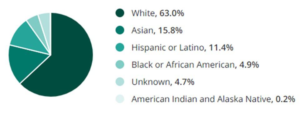 Electronics Jobs Ethnicity and Race Demographic Chart