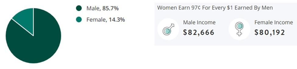 Energy Jobs Gender Demographic Chart