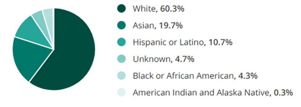 Energy Jobs Ethnicity and Race Demographic Chart