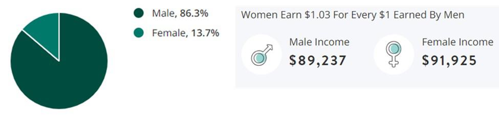 Engineering Job Gender Demographic Chart