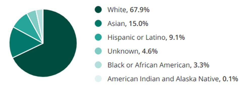 Engineering Jobs Ethnicity and Race Demographic Chart