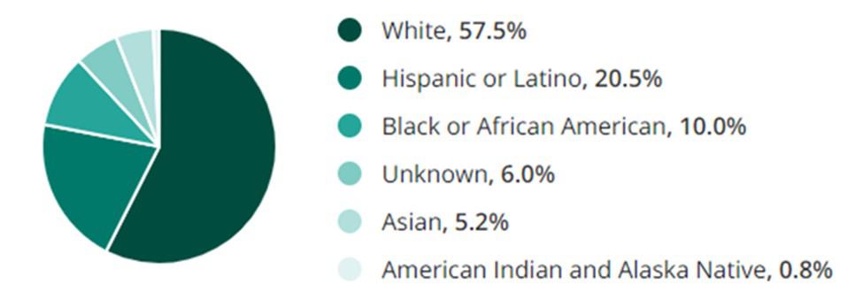 Entertainment Jobs Ethnicity and Race Demographic Chart