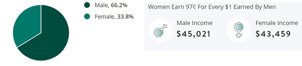 Entry Level Jobs Gender Demographic Chart