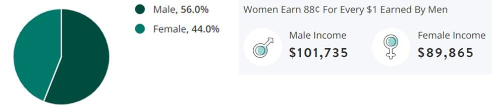 Executive Jobs Gender Demographic Chart