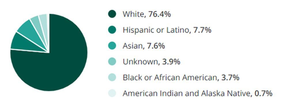 Executive Jobs Race Demographic Chart