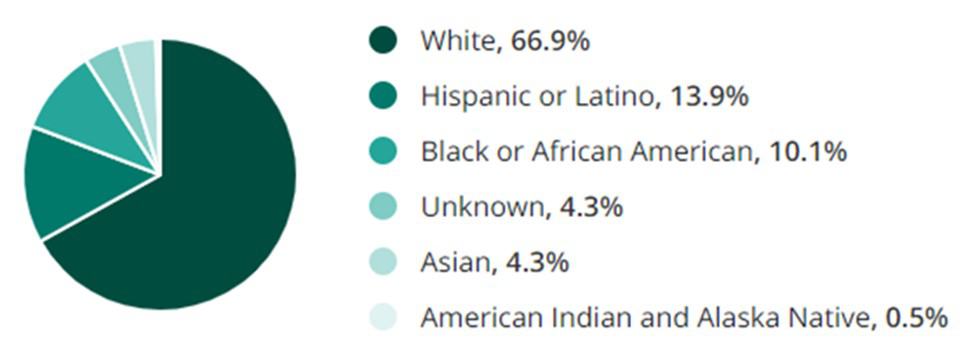 Facilities Jobs Ethnicity and Race Demographic Chart