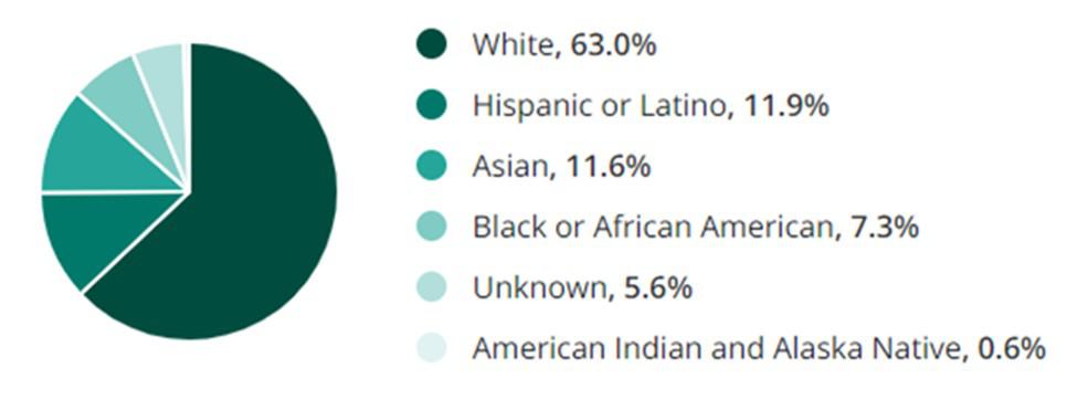 Fashion Jobs Ethnicity and Race Demographic Chart