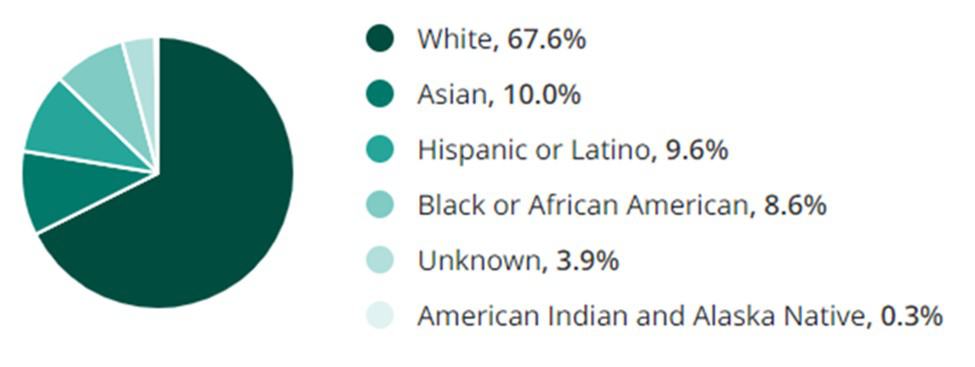 Finance Jobs Ethnicity and Race Demographic Chart