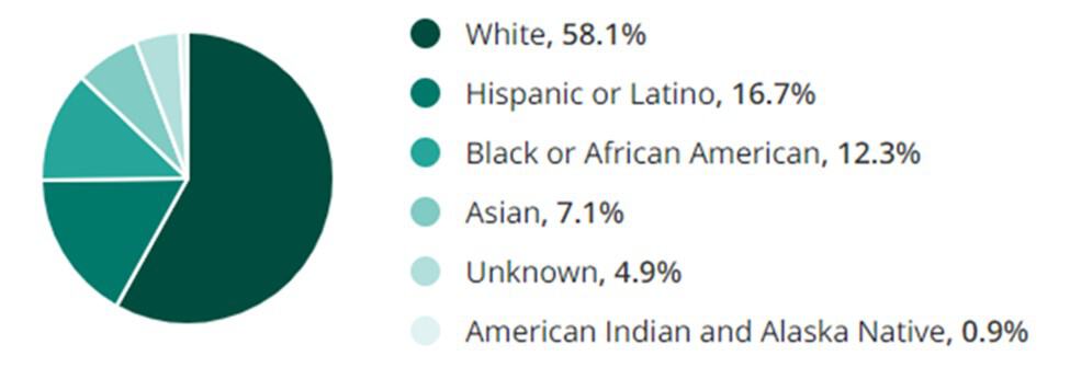 Food Service Jobs Ethnicity and Race Demographic Chart