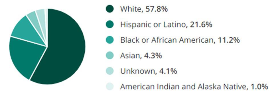 General Labor Jobs Race Demographic Chart