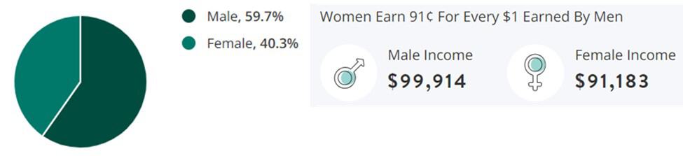 Government Jobs Gender Demographic Chart