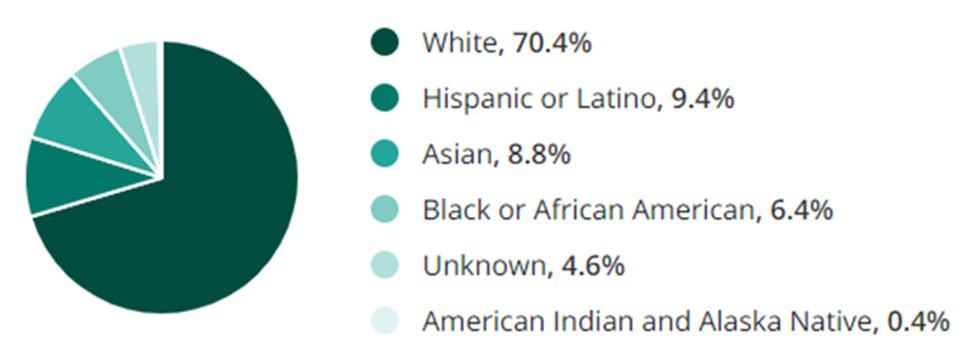 Government Jobs Ethnicity and Race Demographic Chart