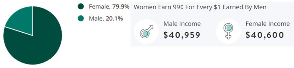 Healthcare Jobs Gender Demographic Chart