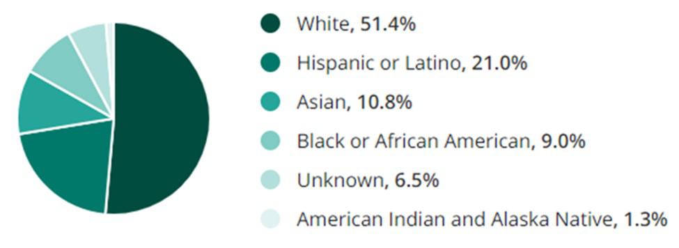 Hospitality Hotel Jobs Race Demographic Chart