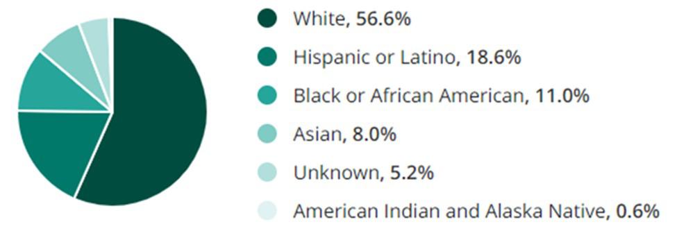 Human Resources Jobs Race Demographic Chart