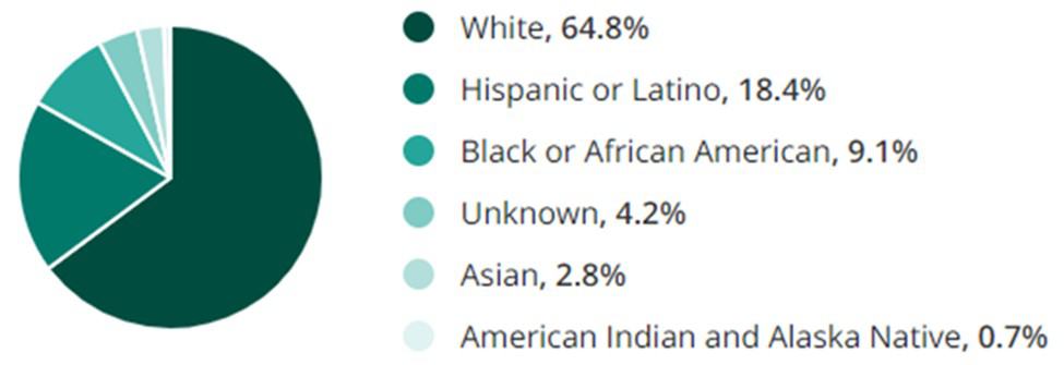 Information Technology Jobs Race Demographic Chart