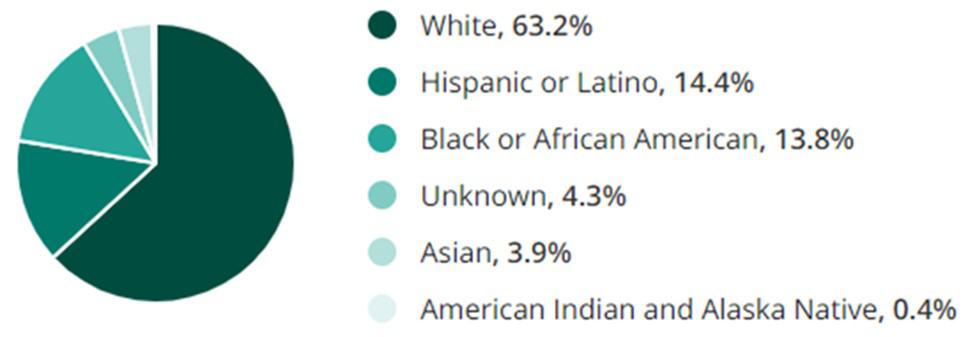 Insurance Jobs Race Demographic Chart