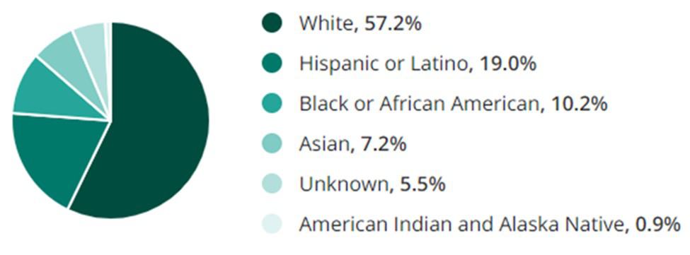 Inventory Jobs Race Demographic Chart