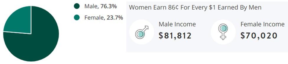 Law Enforcement Jobs Gender Demographic Chart