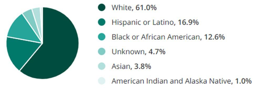 Law Enforcement Jobs Race Demographic Chart