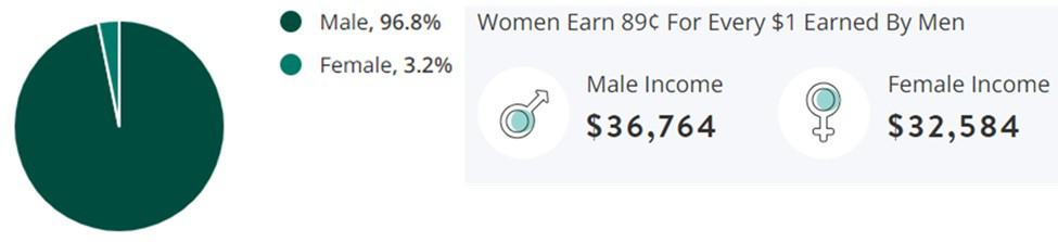 Maintenance Jobs Gender Demographic Chart