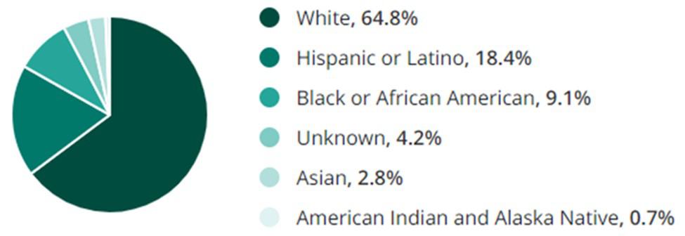 Maintenance Jobs Race Demographic Chart