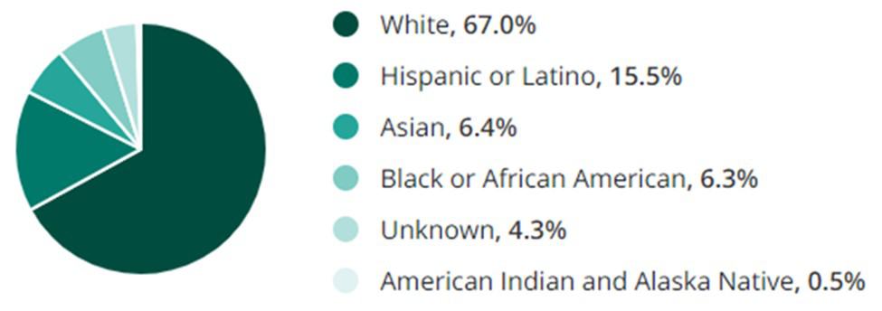 Management Jobs Race Demographic Chart