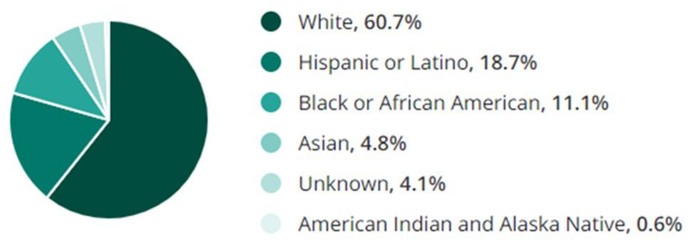 Manufacturing Jobs Race Demographic Chart