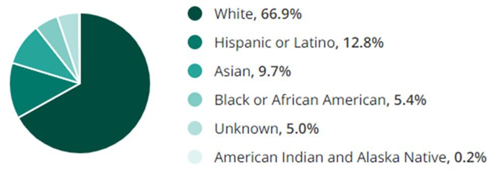 Marketing Jobs Race Demographic Chart