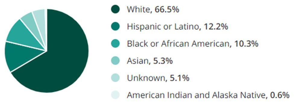 Media Jobs Race Demographic Chart