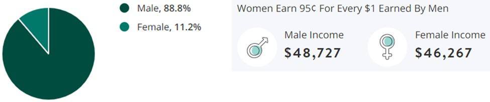 Mining Jobs Gender Demographic Chart