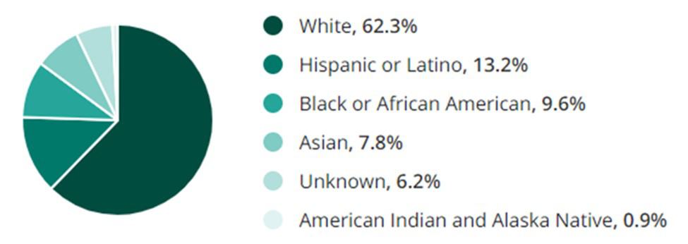 Mining Jobs Race Demographic Chart