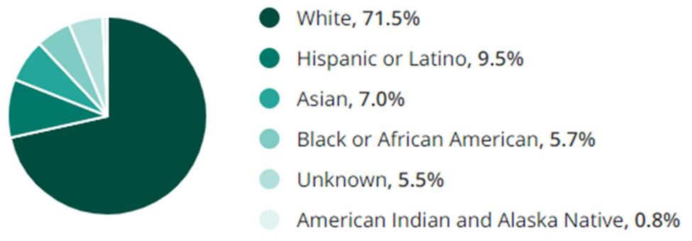 Miscellaneous Jobs Race Demographic Chart