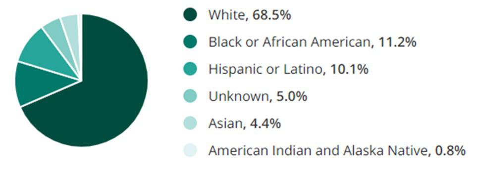 Nonprofit Jobs Race Demographic Chart