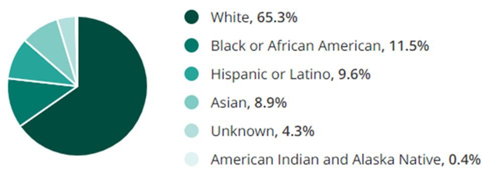 Nursing Jobs Race Demographic Chart