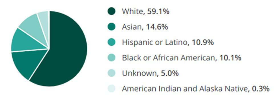 Professional Services Jobs Race Demographic Chart