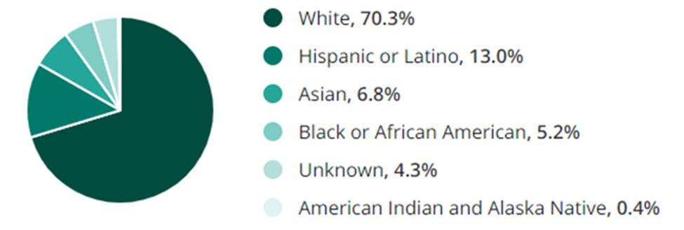 Real Estate Jobs Race Demographic Chart