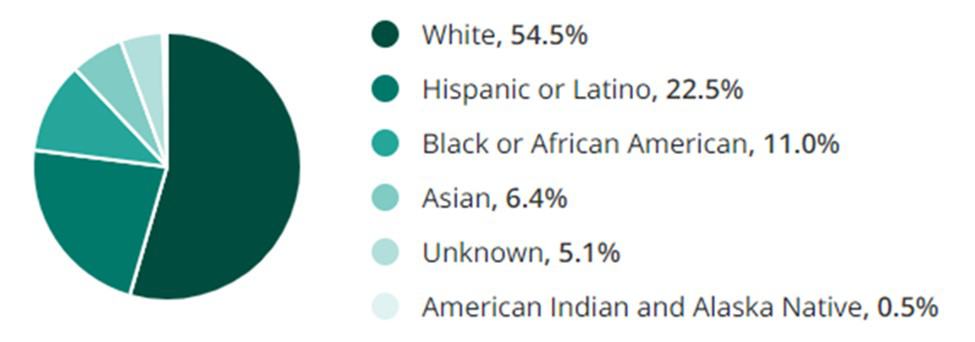 Retail Jobs Race Demographic Chart