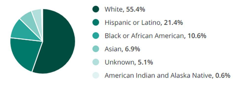 Sales Jobs Race Demographic Chart