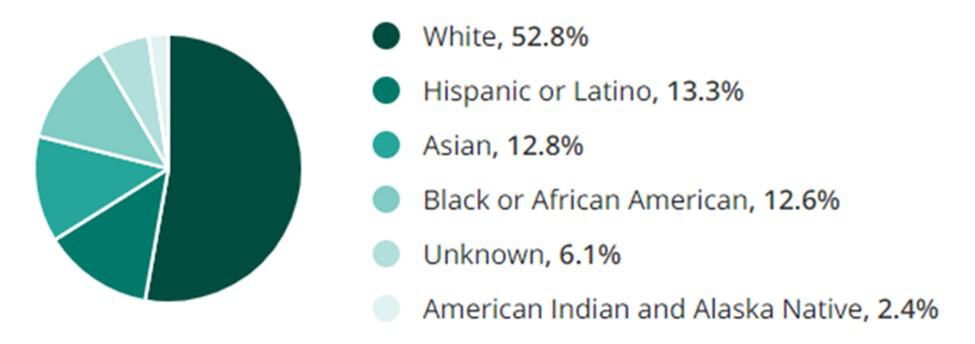 Science Jobs Race Demographic Chart